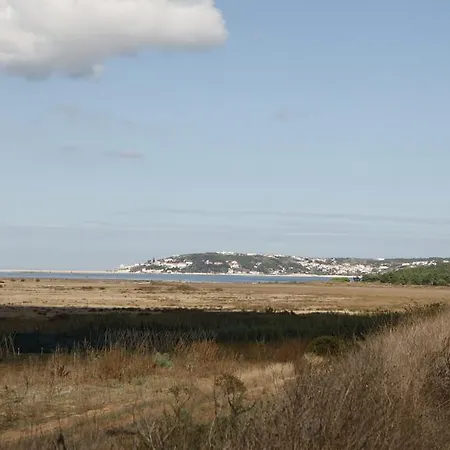 Cavalo De Madeira Couette-café