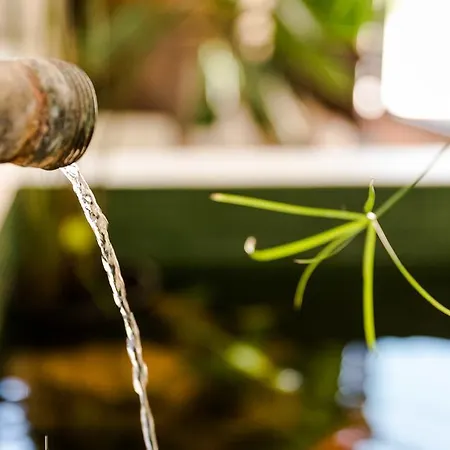 Cavalo De Madeira Arelho