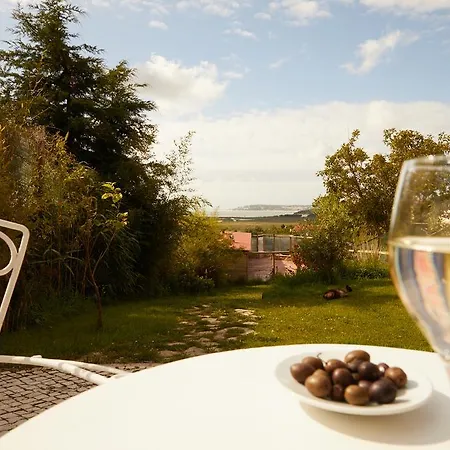 Cavalo De Madeira 3* Arelho