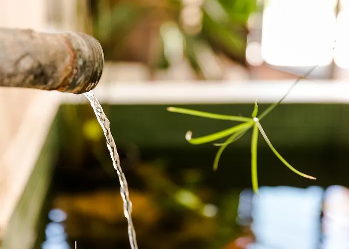 Cavalo De Madeira Arelho